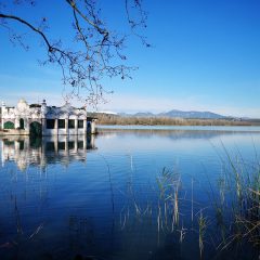 Photo: Lake Banyoles, Spain. Credit: www.travelingbelugas.com.
